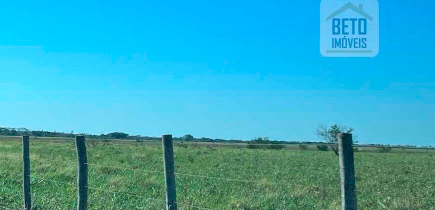 Venda de Fazenda Dupla Aptidão 50 Alqueires – Agricultura e Pecuária | Quissamã/ RJ Venda de Fazenda Dupla Aptidão 50 Alqueires – Agricultura e Pecuária | Quissamã/ RJ