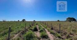 Venda de Fazenda Dupla Aptidão 50 Alqueires – Agricultura e Pecuária | Quissamã/ RJ Venda de Fazenda Dupla Aptidão 50 Alqueires – Agricultura e Pecuária | Quissamã/ RJ