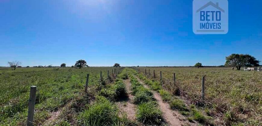 Venda de Fazenda Dupla Aptidão 50 Alqueires – Agricultura e Pecuária | Quissamã/ RJ Venda de Fazenda Dupla Aptidão 50 Alqueires – Agricultura e Pecuária | Quissamã/ RJ