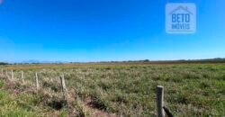 Venda de Fazenda Dupla Aptidão 50 Alqueires – Agricultura e Pecuária | Quissamã/ RJ Venda de Fazenda Dupla Aptidão 50 Alqueires – Agricultura e Pecuária | Quissamã/ RJ