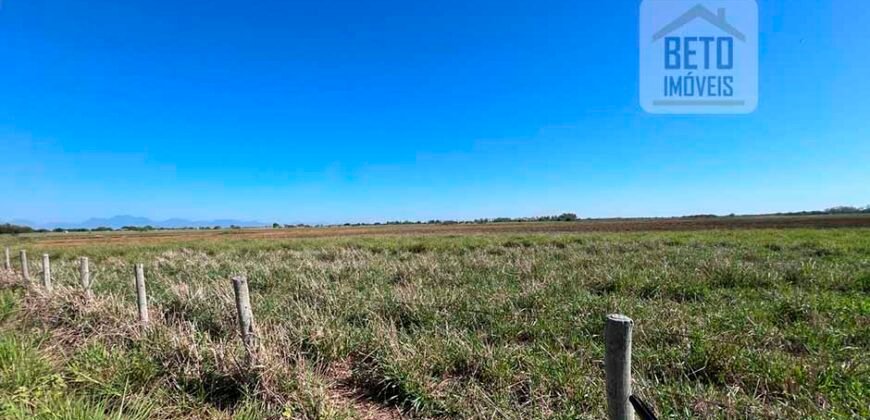 Venda de Fazenda Dupla Aptidão 50 Alqueires – Agricultura e Pecuária | Quissamã/ RJ Venda de Fazenda Dupla Aptidão 50 Alqueires – Agricultura e Pecuária | Quissamã/ RJ