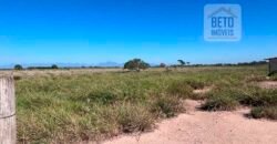 Venda de Fazenda Dupla Aptidão 50 Alqueires – Agricultura e Pecuária | Quissamã/ RJ Venda de Fazenda Dupla Aptidão 50 Alqueires – Agricultura e Pecuária | Quissamã/ RJ