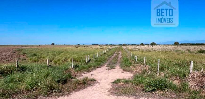 Venda de Fazenda Dupla Aptidão 50 Alqueires – Agricultura e Pecuária | Quissamã/ RJ Venda de Fazenda Dupla Aptidão 50 Alqueires – Agricultura e Pecuária | Quissamã/ RJ