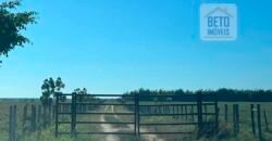 Venda de Fazenda Dupla Aptidão 50 Alqueires – Agricultura e Pecuária | Quissamã/ RJ Venda de Fazenda Dupla Aptidão 50 Alqueires – Agricultura e Pecuária | Quissamã/ RJ