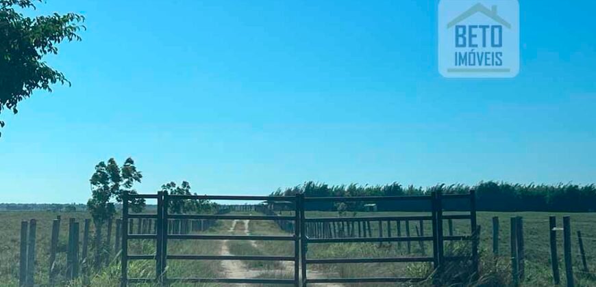 Venda de Fazenda Dupla Aptidão 50 Alqueires – Agricultura e Pecuária | Quissamã/ RJ Venda de Fazenda Dupla Aptidão 50 Alqueires – Agricultura e Pecuária | Quissamã/ RJ