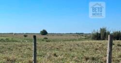 Venda de Fazenda Dupla Aptidão 50 Alqueires – Agricultura e Pecuária | Quissamã/ RJ Venda de Fazenda Dupla Aptidão 50 Alqueires – Agricultura e Pecuária | Quissamã/ RJ