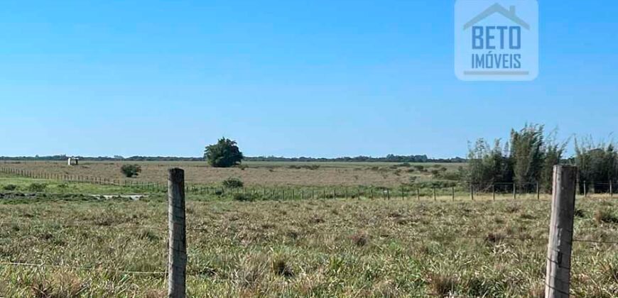 Venda de Fazenda Dupla Aptidão 50 Alqueires – Agricultura e Pecuária | Quissamã/ RJ Venda de Fazenda Dupla Aptidão 50 Alqueires – Agricultura e Pecuária | Quissamã/ RJ