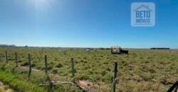 Venda de Fazenda Dupla Aptidão 50 Alqueires – Agricultura e Pecuária | Quissamã/ RJ Venda de Fazenda Dupla Aptidão 50 Alqueires – Agricultura e Pecuária | Quissamã/ RJ