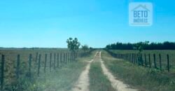 Venda de Fazenda Dupla Aptidão 50 Alqueires – Agricultura e Pecuária | Quissamã/ RJ Venda de Fazenda Dupla Aptidão 50 Alqueires – Agricultura e Pecuária | Quissamã/ RJ