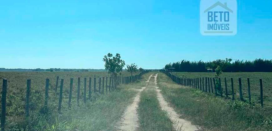 Venda de Fazenda Dupla Aptidão 50 Alqueires – Agricultura e Pecuária | Quissamã/ RJ Venda de Fazenda Dupla Aptidão 50 Alqueires – Agricultura e Pecuária | Quissamã/ RJ