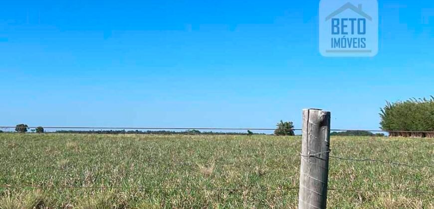 Venda de Fazenda Dupla Aptidão 50 Alqueires – Agricultura e Pecuária | Quissamã/ RJ Venda de Fazenda Dupla Aptidão 50 Alqueires – Agricultura e Pecuária | Quissamã/ RJ