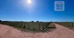 Venda de Fazenda Dupla Aptidão 50 Alqueires – Agricultura e Pecuária | Quissamã/ RJ Venda de Fazenda Dupla Aptidão 50 Alqueires – Agricultura e Pecuária | Quissamã/ RJ