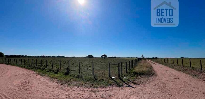 Venda de Fazenda Dupla Aptidão 50 Alqueires – Agricultura e Pecuária | Quissamã/ RJ Venda de Fazenda Dupla Aptidão 50 Alqueires – Agricultura e Pecuária | Quissamã/ RJ