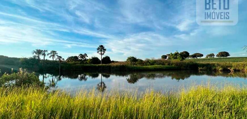 Ótima Fazenda 68 alqueires para Lavoura à Venda | Próximo a Uberlândia/ MG