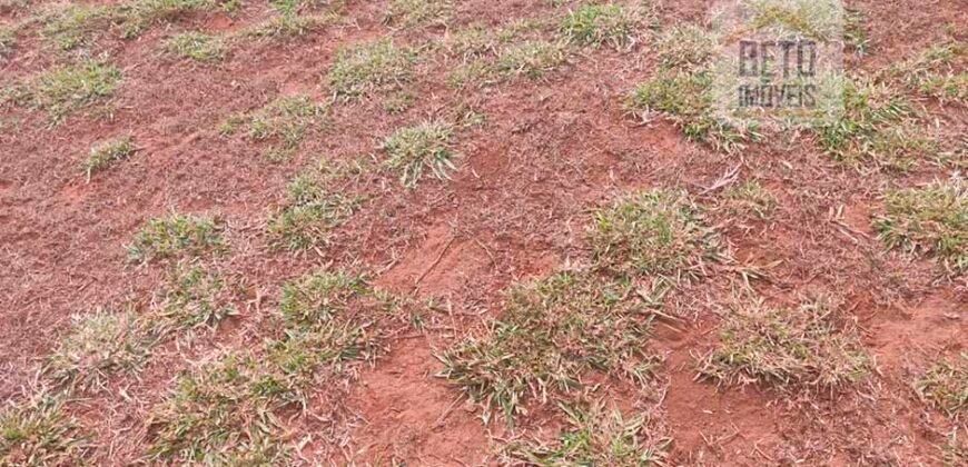 Fazenda à Venda 75 Alqueires Favorável p/ Lavoura Café Solo Fértil | Sacramento/ MG Fazenda à Venda 75 Alqueires Favorável p/ Lavoura Café Solo Fértil | Sacramento/ MG