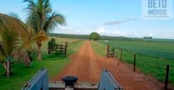 Fazenda à Venda 150 has Tríplice Aptidão Completa Avicultura e Agronegócio | Nova Mutum/ MT