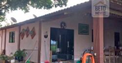 Fazenda à Venda 150 has Tríplice Aptidão Completa Avicultura e Agronegócio | Nova Mutum/ MT