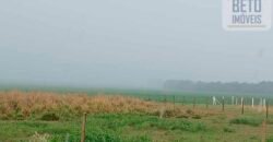 Fazenda à Venda 150 has Tríplice Aptidão Completa Avicultura e Agronegócio | Nova Mutum/ MT