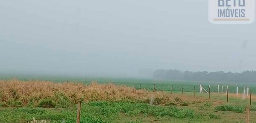 Fazenda à Venda 150 has Tríplice Aptidão Completa Avicultura e Agronegócio | Nova Mutum/ MT