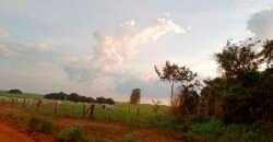 Fazenda à Venda 150 has Tríplice Aptidão Completa Avicultura e Agronegócio | Nova Mutum/ MT