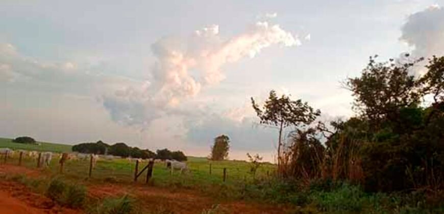 Fazenda à Venda 150 has Tríplice Aptidão Completa Avicultura e Agronegócio | Nova Mutum/ MT