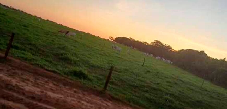 Fazenda à Venda 150 has Tríplice Aptidão Completa Avicultura e Agronegócio | Nova Mutum/ MT