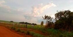 Fazenda à Venda 150 has Tríplice Aptidão Completa Avicultura e Agronegócio | Nova Mutum/ MT