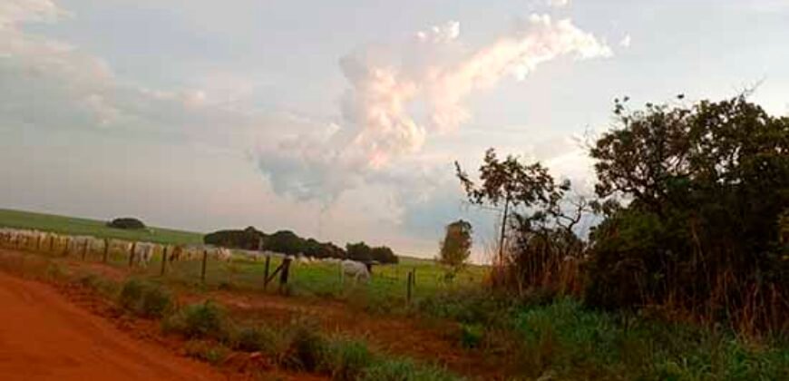 Fazenda à Venda 150 has Tríplice Aptidão Completa Avicultura e Agronegócio | Nova Mutum/ MT