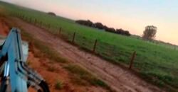 Fazenda à Venda 150 has Tríplice Aptidão Completa Avicultura e Agronegócio | Nova Mutum/ MT