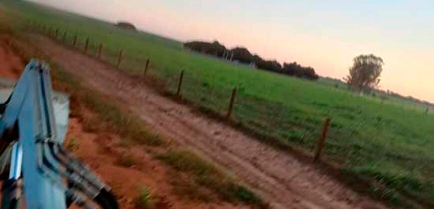 Fazenda à Venda 150 has Tríplice Aptidão Completa Avicultura e Agronegócio | Nova Mutum/ MT