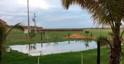 Fazenda à Venda 150 has Tríplice Aptidão Completa Avicultura e Agronegócio | Nova Mutum/ MT