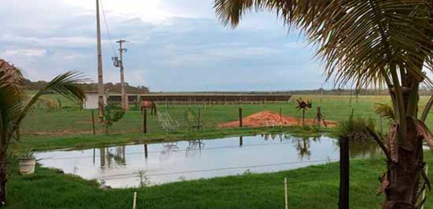 Fazenda à Venda 150 has Tríplice Aptidão Completa Avicultura e Agronegócio | Nova Mutum/ MT
