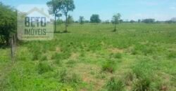 Oportunidade Agronegócio: Fazenda à Venda 11.695 has Região Geoeconômica de Brasília/GO