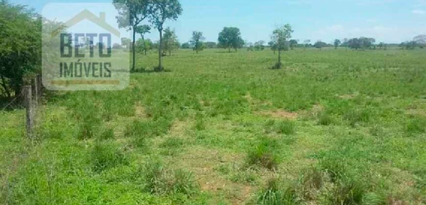 Oportunidade Agronegócio: Fazenda à Venda 11.695 has Região Geoeconômica de Brasília/GO