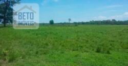 Oportunidade Agronegócio: Fazenda à Venda 11.695 has Região Geoeconômica de Brasília/GO