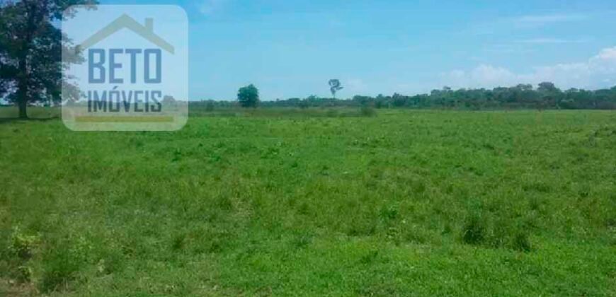 Oportunidade Agronegócio: Fazenda à Venda 11.695 has Região Geoeconômica de Brasília/GO