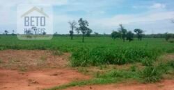 Oportunidade Agronegócio: Fazenda à Venda 11.695 has Região Geoeconômica de Brasília/GO