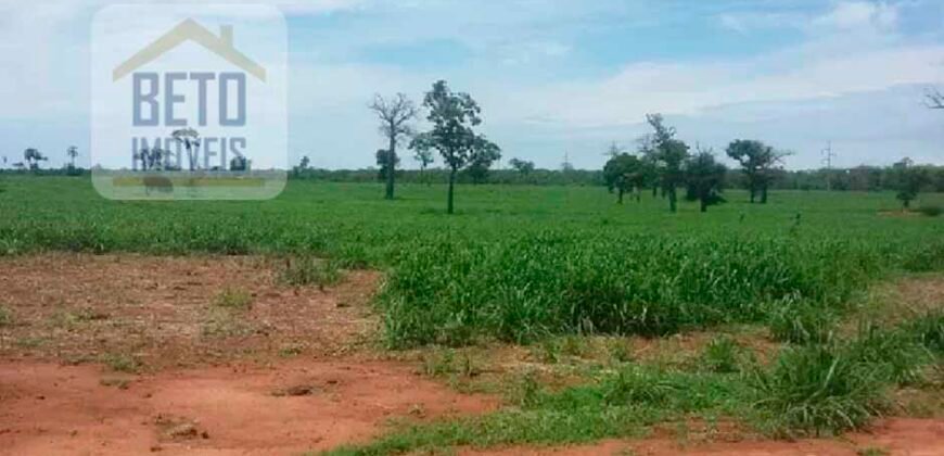 Oportunidade Agronegócio: Fazenda à Venda 11.695 has Região Geoeconômica de Brasília/GO