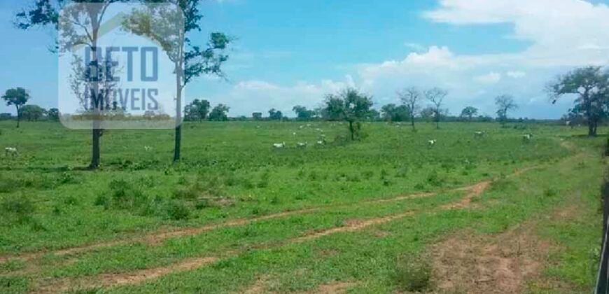 Oportunidade Agronegócio: Fazenda à Venda 11.695 has Região Geoeconômica de Brasília/GO