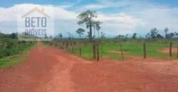 Oportunidade Agronegócio: Fazenda à Venda 11.695 has Região Geoeconômica de Brasília/GO