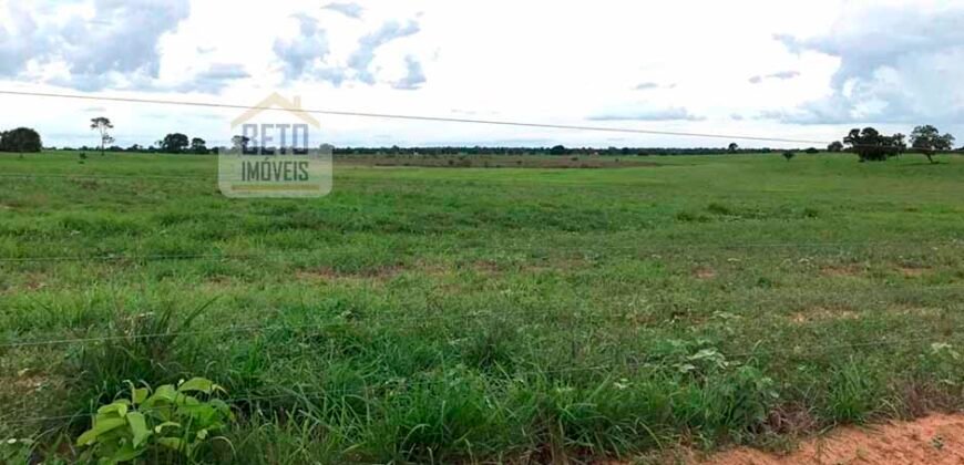 Oportunidade Agronegócio: Fazenda à Venda 11.695 has Região Geoeconômica de Brasília/GO