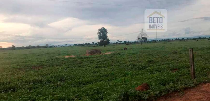 Oportunidade Agronegócio: Fazenda à Venda 11.695 has Região Geoeconômica de Brasília/GO