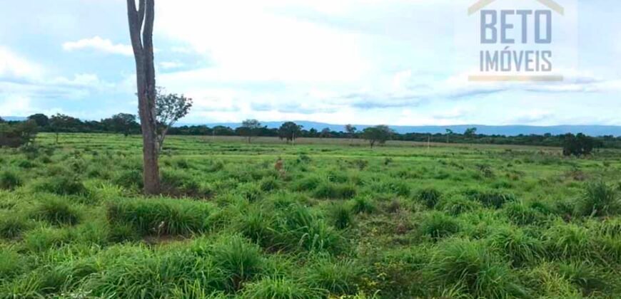 Oportunidade Agronegócio: Fazenda à Venda 11.695 has Região Geoeconômica de Brasília/GO