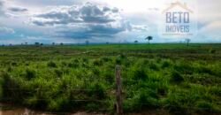 Oportunidade Agronegócio: Fazenda à Venda 11.695 has Região Geoeconômica de Brasília/GO