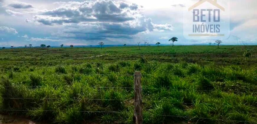 Oportunidade Agronegócio: Fazenda à Venda 11.695 has Região Geoeconômica de Brasília/GO