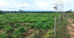 Oportunidade Agronegócio: Fazenda à Venda 11.695 has Região Geoeconômica de Brasília/GO