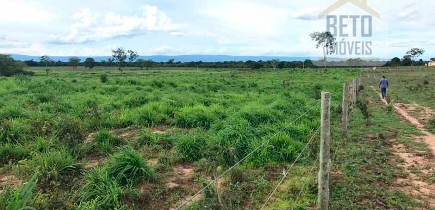 Oportunidade Agronegócio: Fazenda à Venda 11.695 has Região Geoeconômica de Brasília/GO
