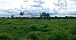 Oportunidade Agronegócio: Fazenda à Venda 11.695 has Região Geoeconômica de Brasília/GO