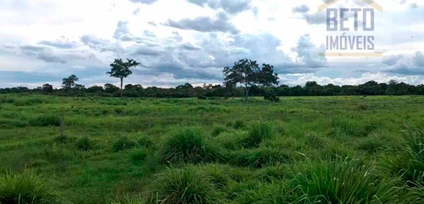 Oportunidade Agronegócio: Fazenda à Venda 11.695 has Região Geoeconômica de Brasília/GO