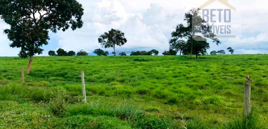 Oportunidade Agronegócio: Fazenda à Venda 11.695 has Região Geoeconômica de Brasília/GO